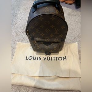Preowned Louis Vuitton Palm Springs Mini Backpack